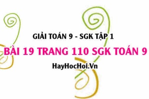 Giải bài 19 trang 110 SGK Toán 9 tập 1